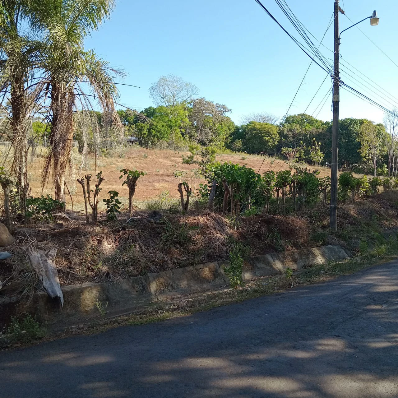 Investment Opportunity in Labrador de San Mateo - Gallery image 2