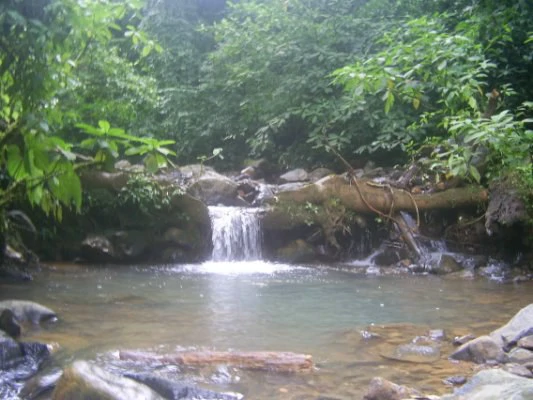 Stunning 17-Hectare Finca in Santa Elena