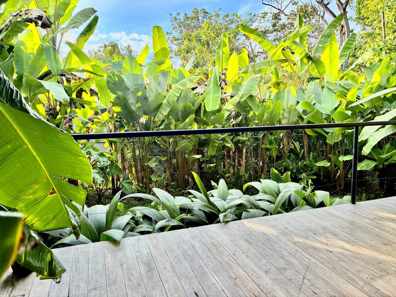Casa Baja: Near the Coast House For Sale in Pavones - photo 19
