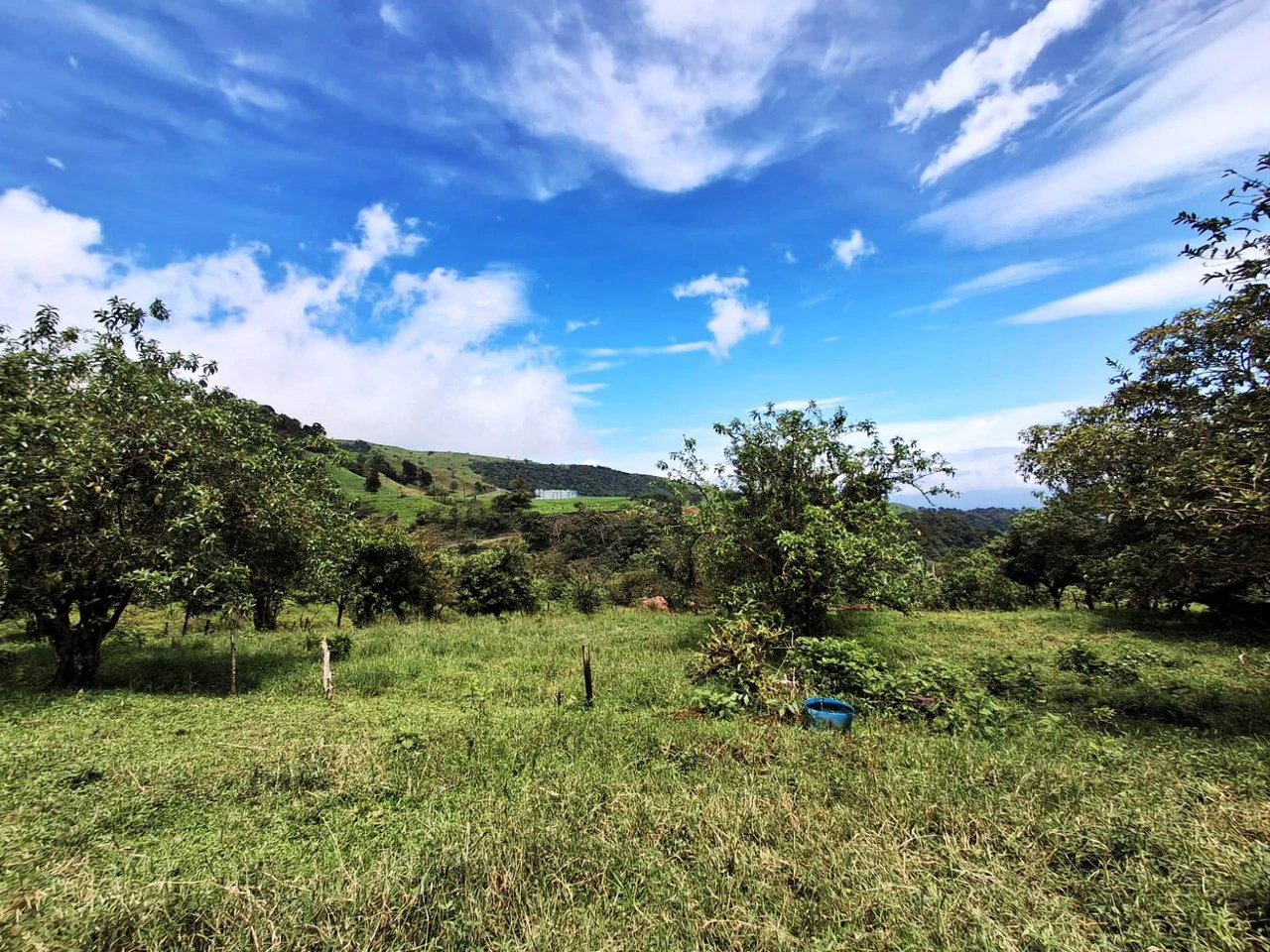 INVESTOR & DEVELOPER ALERT: High-Visibility Investment Property in the Heart of Tourist-Friendly Zarcero - Gallery image 10