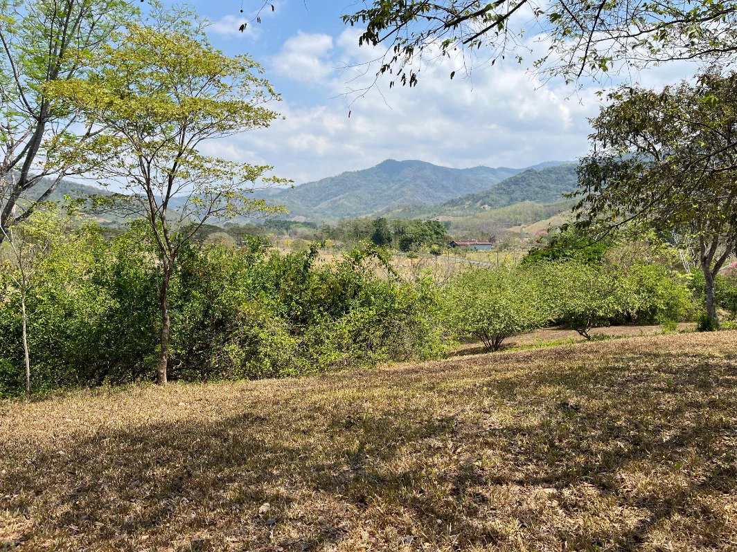 Stunning Views in Nandayure Valley -Amazing land near Bejuco and Pilas beaches Path - Gallery image 15