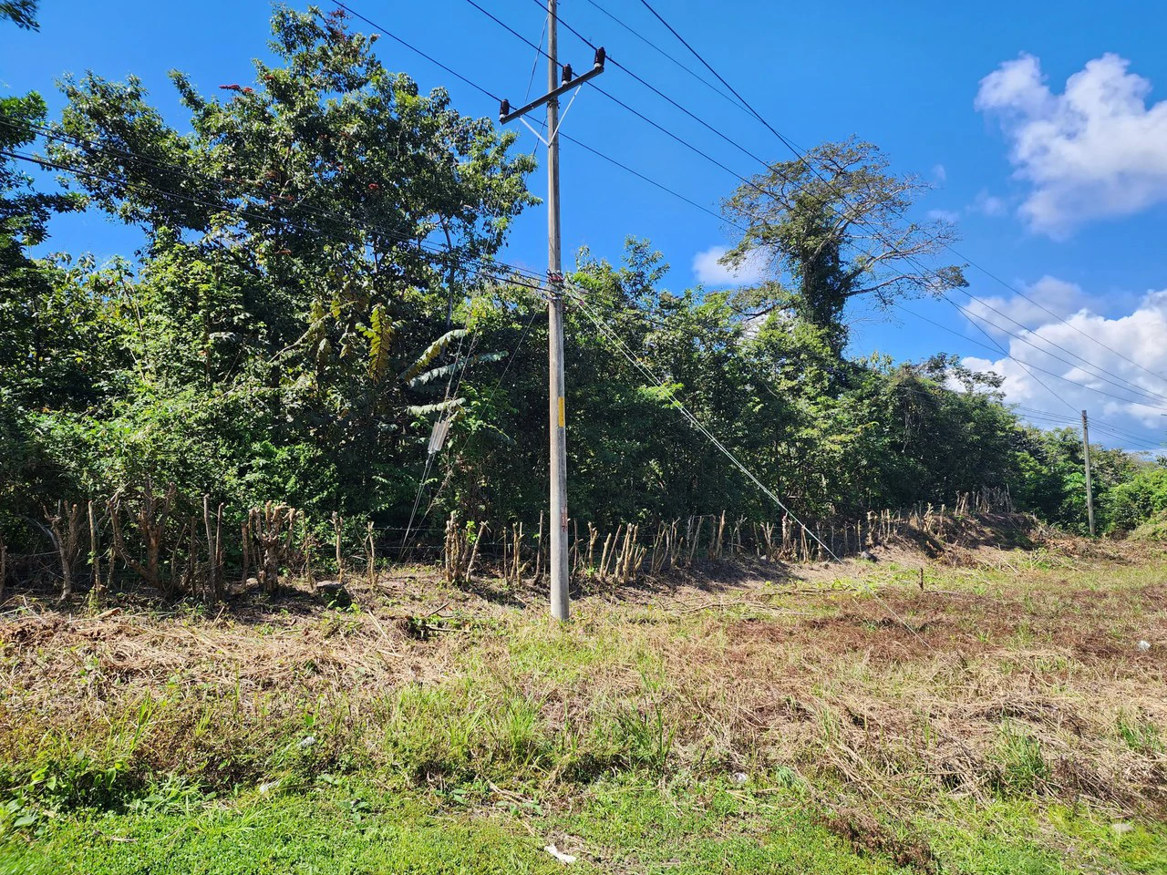 Near the Coast and Countryside Development Parcel For Sale in Coyolar - Gallery image 8