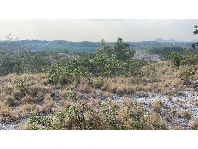 Zoning for homes, apartments, and warehouses in the mountains of Liberia, Beautiful 9.7 ha land with building permits - Gallery image 16