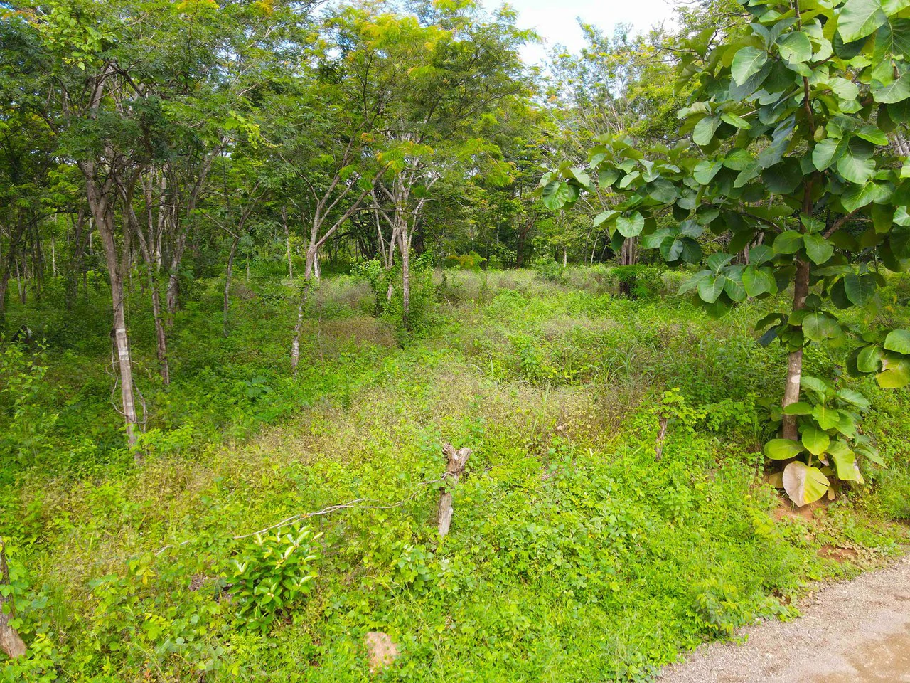Finca Montecito: Ocean View Development Finca in Playa Avellanas - Gallery image 16