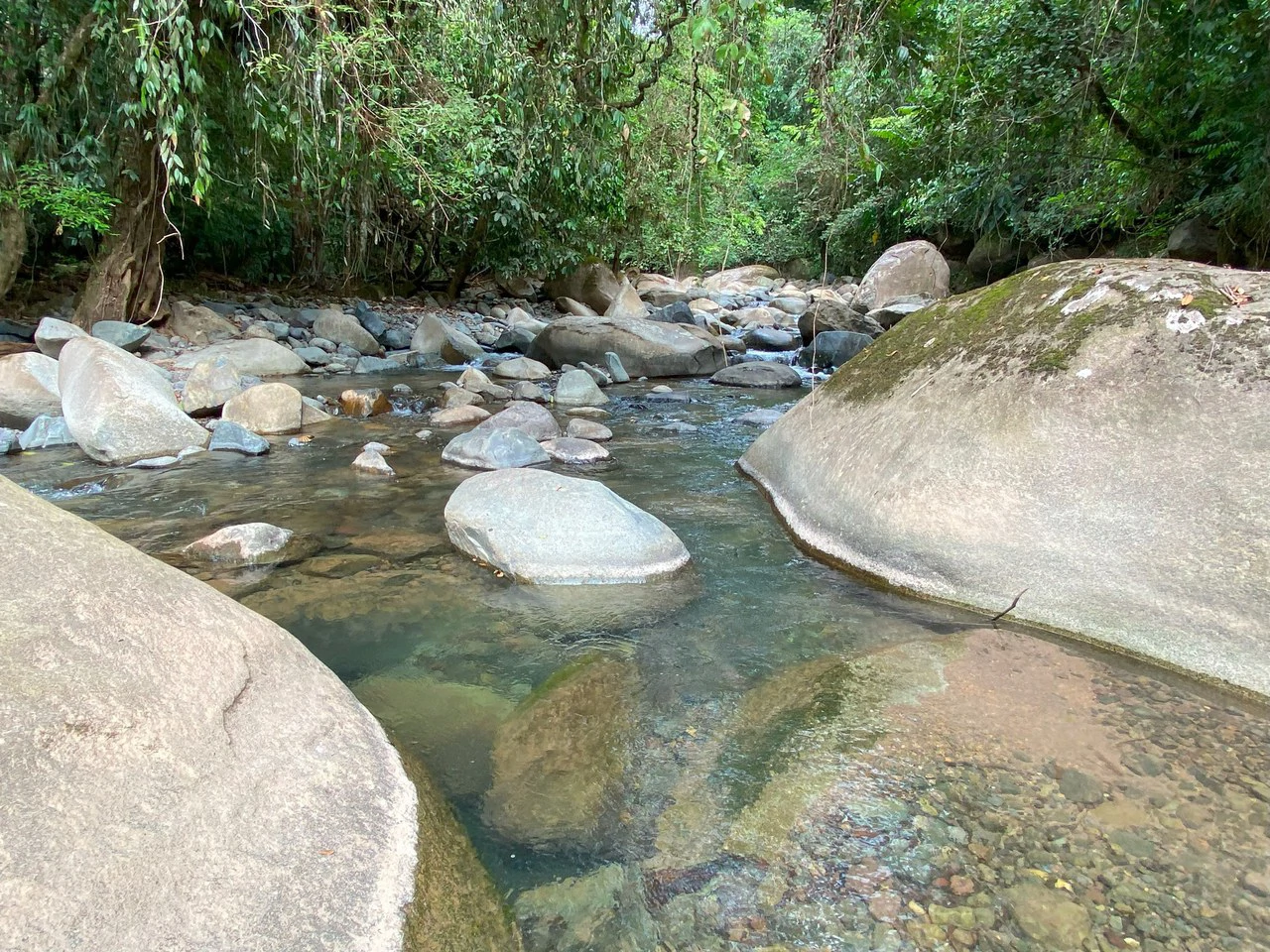 1.35 ACRES – Gorgeous View To The Valley, Mountain And City With A Large Building Site, Two Legal Water Sourses Ready To Build!!!: Mountain and Countryside Home Construction Site For Sale in San Isidr - Gallery image 26