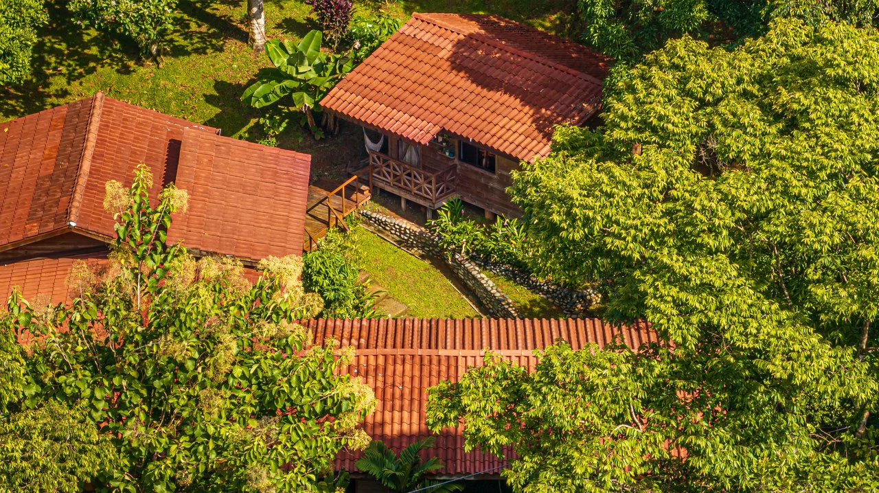 A Jungle House Built of Wood & River Dreams - Gallery image 3