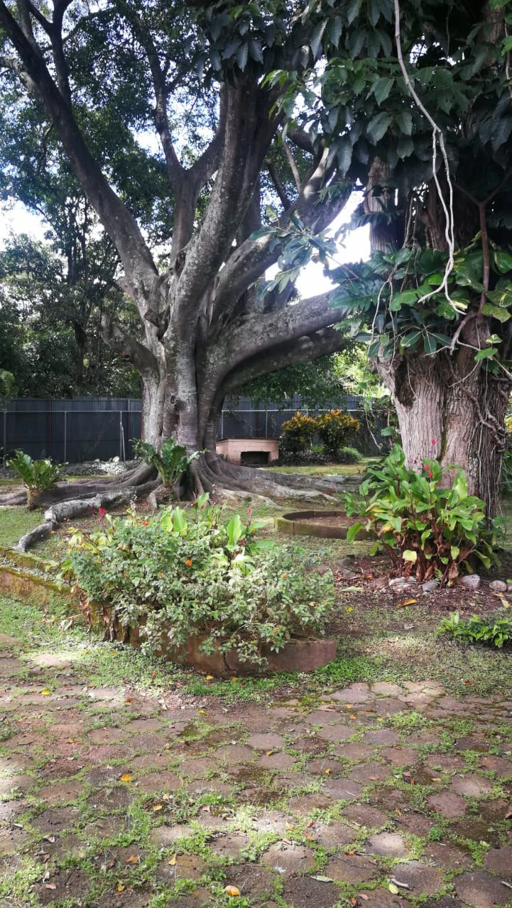 Home Construction Site For Sale in Escazú - Gallery image 12