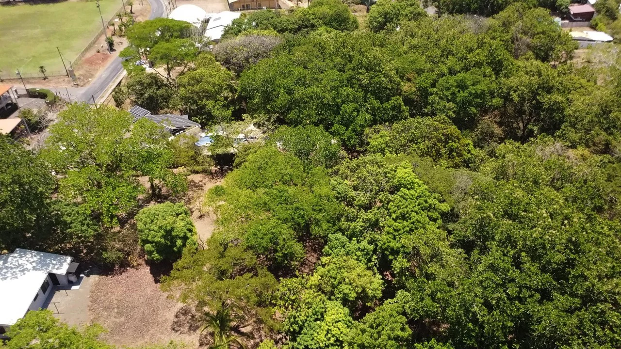Build-Ready Flat Lot with Utilities in Carrillo, 5-min walk to Carrillo beach - photo 7