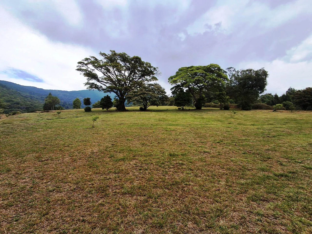 Mountaintop Canvas!: 31,000m2 - Entrepreneur's Dream Property! - Gallery image 2