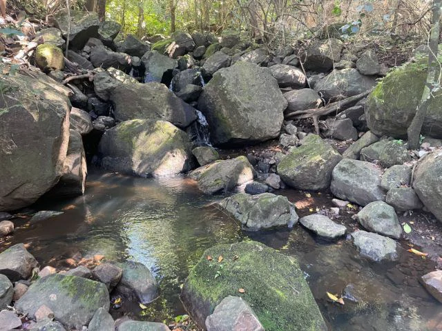 Nature Paradise Farm for sale in the mountains of Quebrada Grande, Building potential property 30 minutes away from Liberia - Gallery image 10