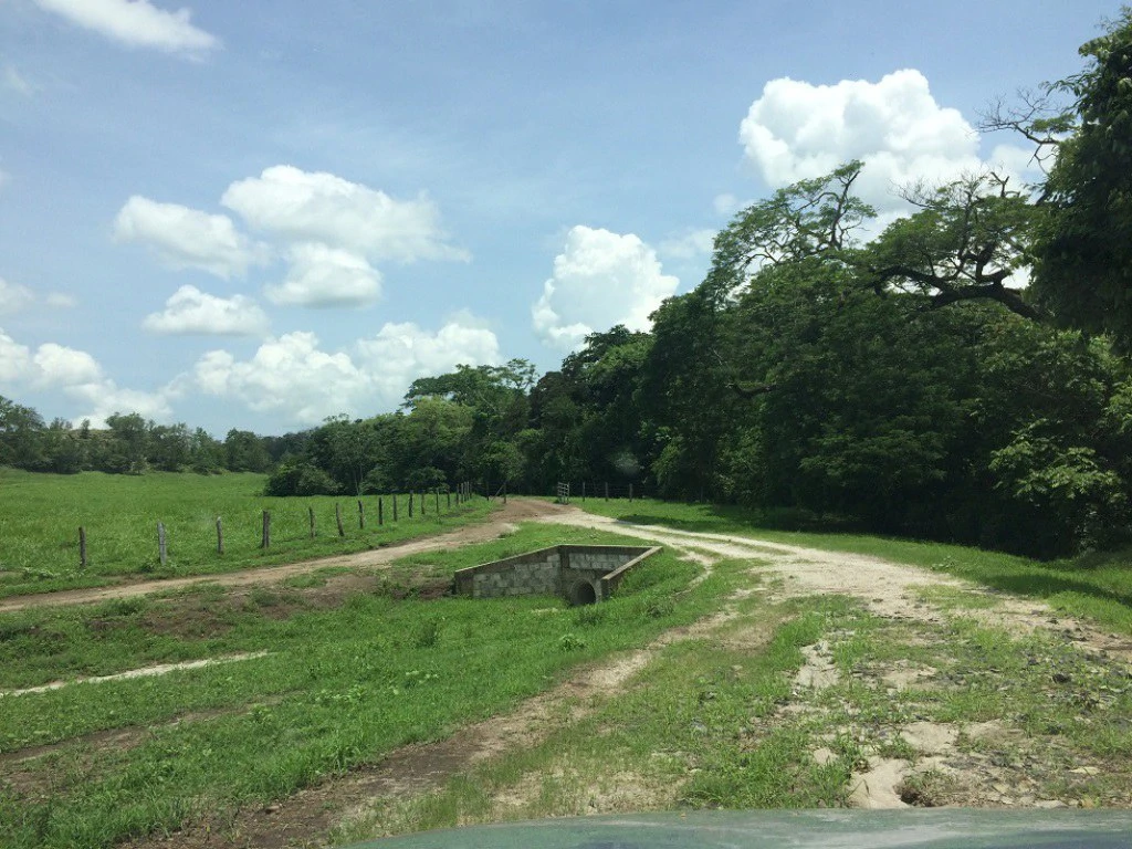 Propiedad de 79 hectáreas: Property of 79 hectares, located in Canas Dulces Liberia. - Gallery image 14