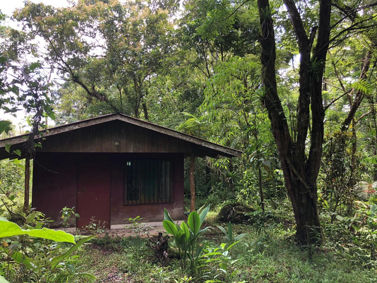 Hot Springs Property in Dos Ríos de Upala – Excellent Investment Opportunity - Gallery image 34