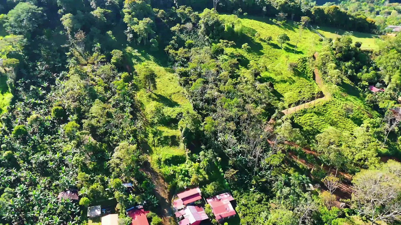 LOTE EN RIVAS GERA-150304: Mountain Home Construction Site For Sale in San Isidro del General - Gallery image 5