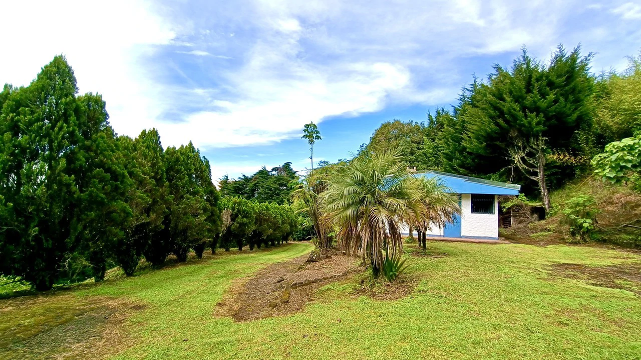 Farm for sale in Santa Barbara de Heredia - Gallery image 10