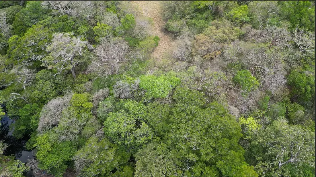Land for Sale in Liberia, Guanacaste - Gallery image 12