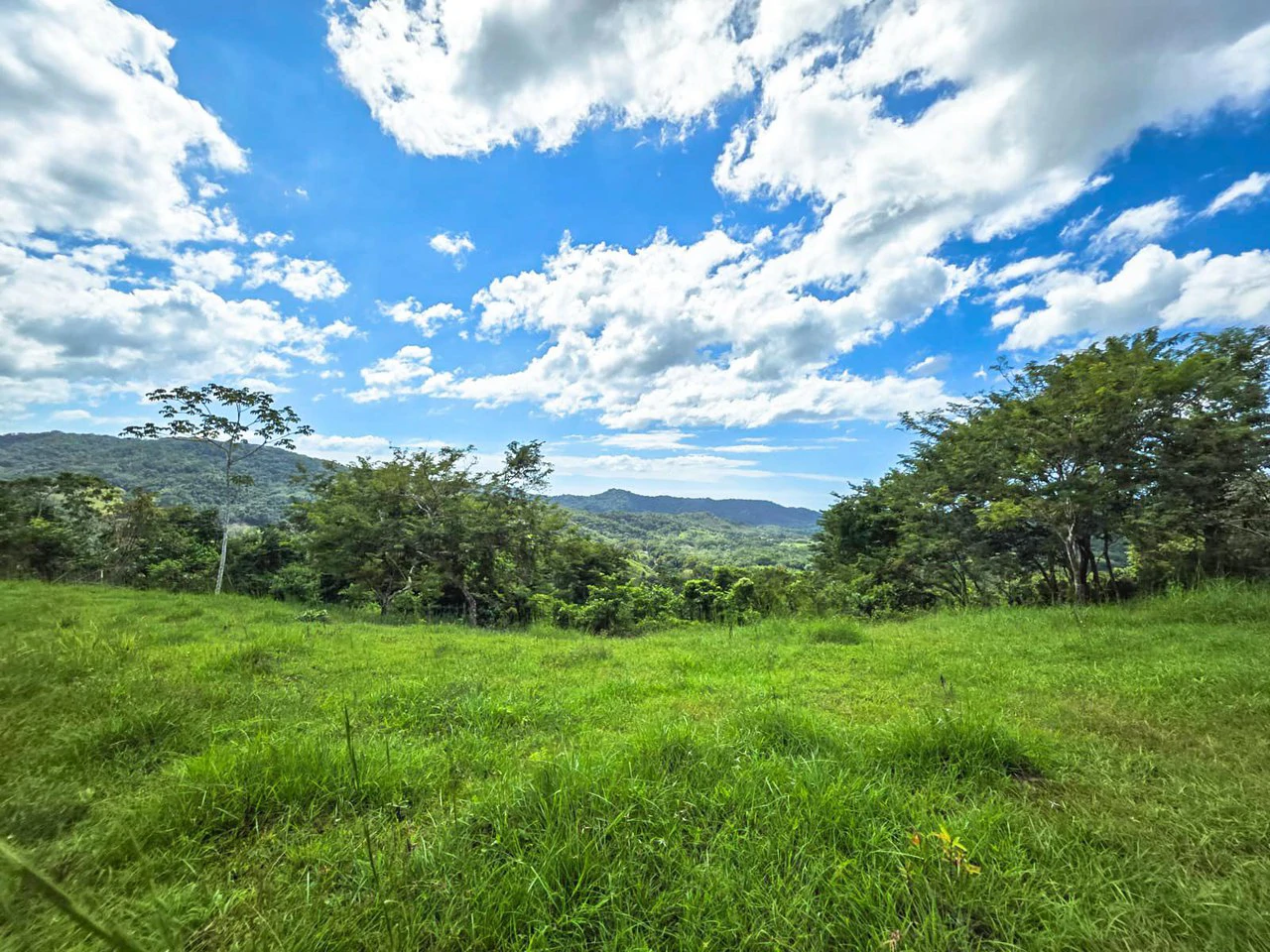35 Acre Finca - A Natures Lover Or Developers Dream With Stunning Views - photo 8