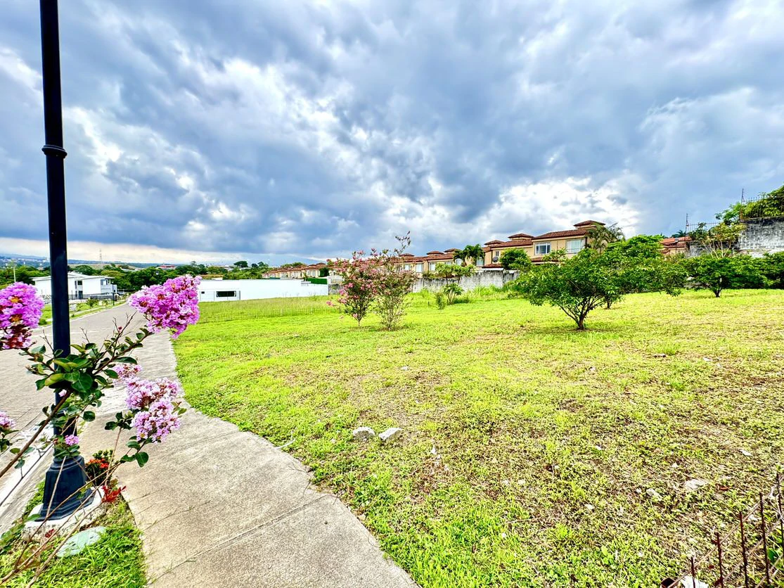 425 m² with Excellent Location - Gallery image 5