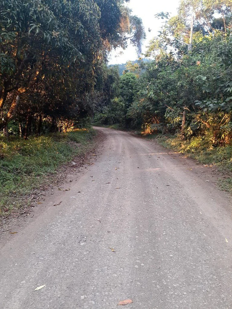 SECLUDED PARADISE WITH STUNNING VIEWS, WATERFALLS & ABUNDANT WILDLIFE - Gallery image 43