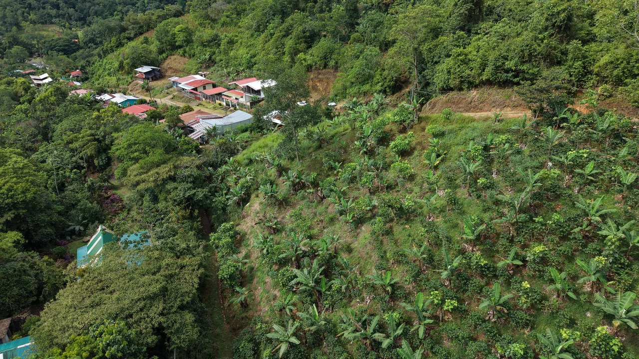 Mountain Home Construction Site For Sale in Chimirol de Rivas - photo 4