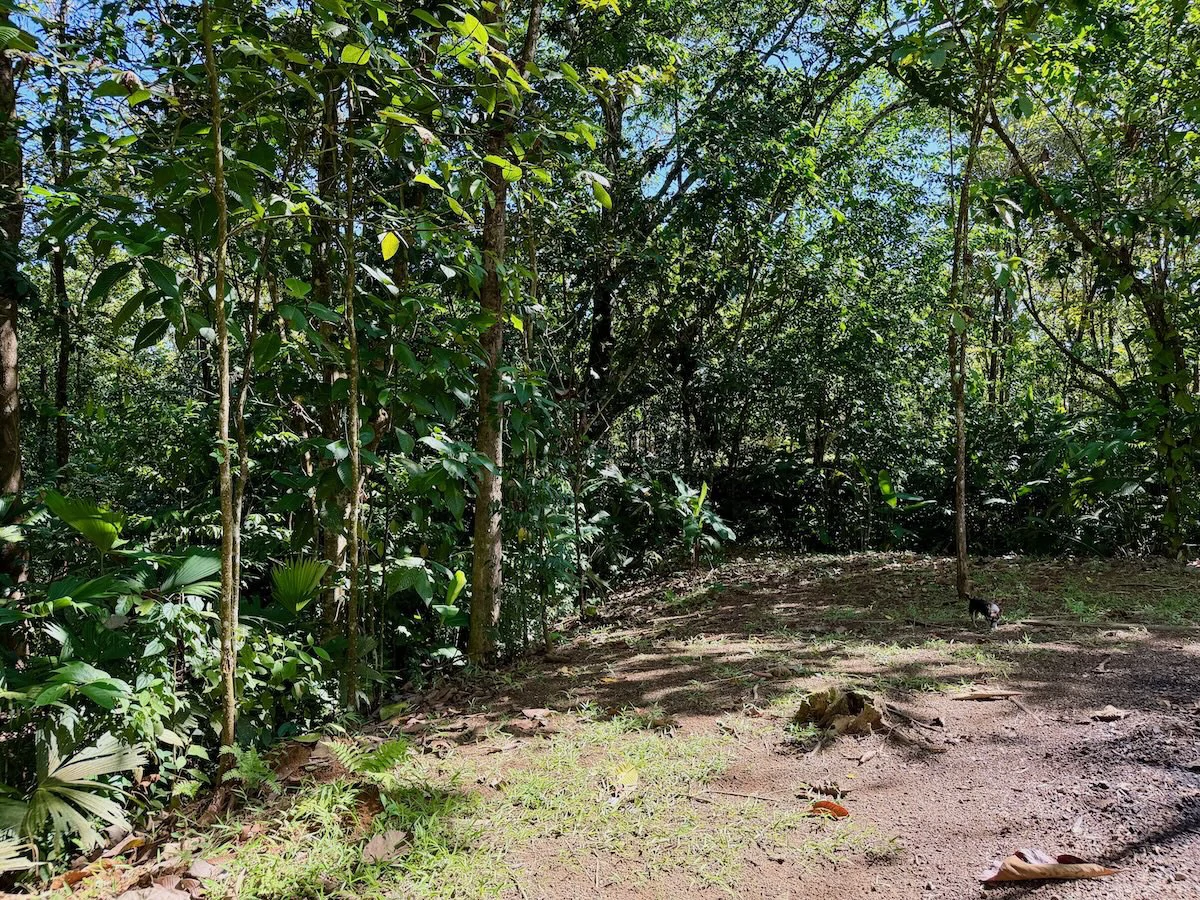 New 2 Bedroom Home for Sale in Terrones | Near Puerto Jiménez, Osa Peninsula - Gallery image 21