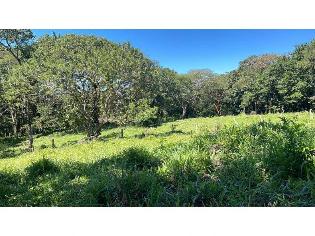 Nature Paradise Farm for sale in the mountains of Quebrada Grande, Building potential property 30 minutes away from Liberia - Gallery image 26