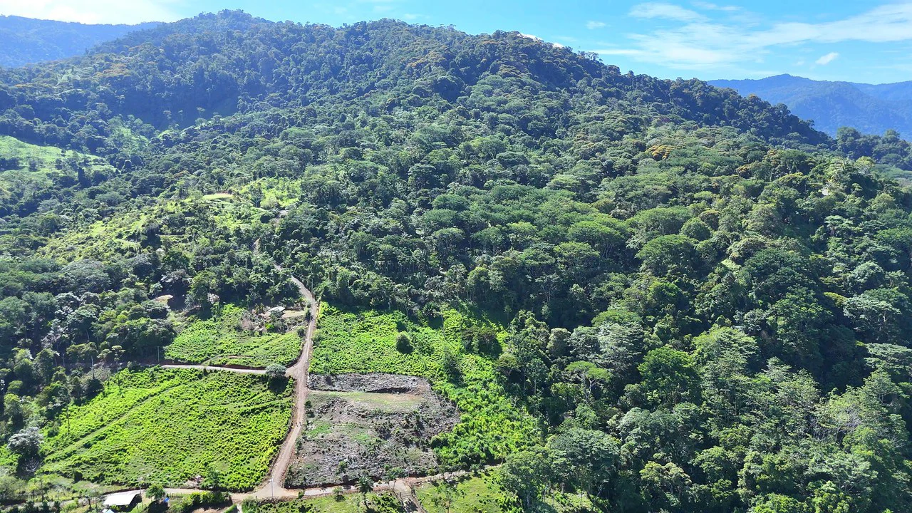 Near the Coast and Mountain Home Construction Site For Sale in Uvita - Gallery image 4