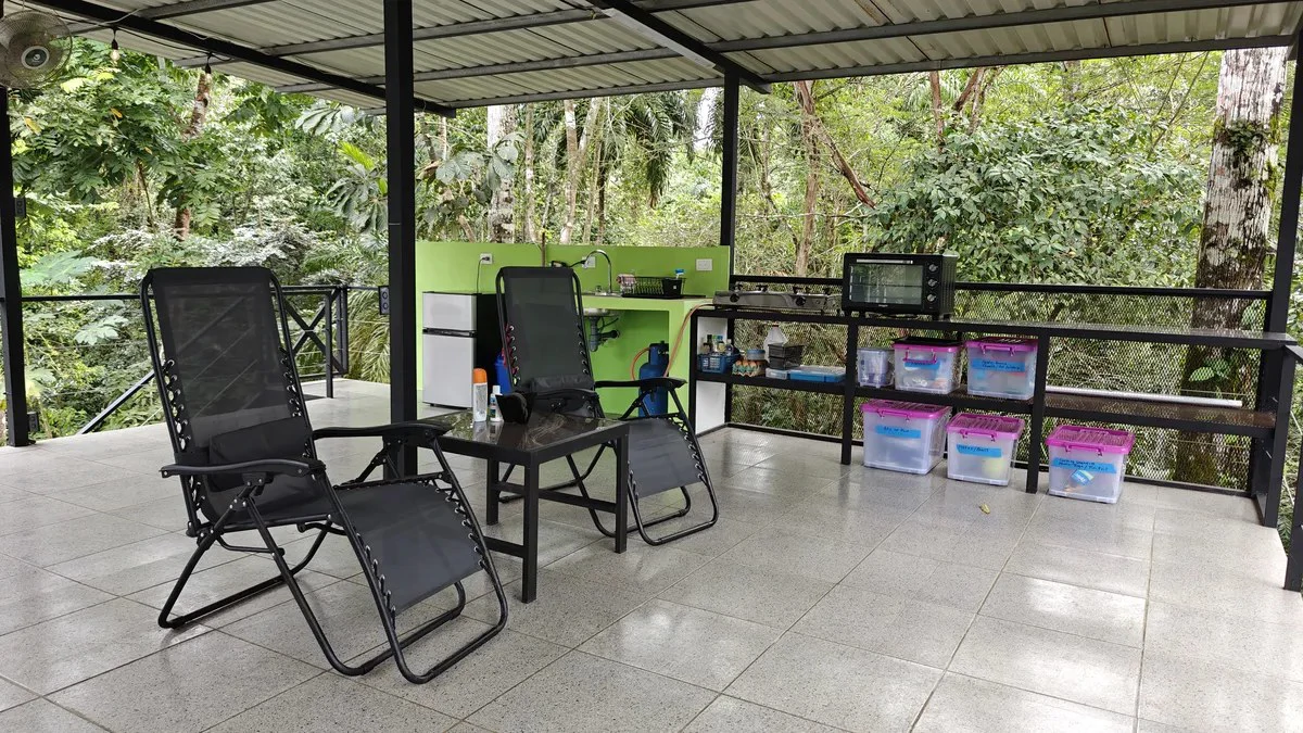 ID 925: Elevated Jungle Property with Two Residences, Open Air Living Space, and Mountain Views - Gallery image 19