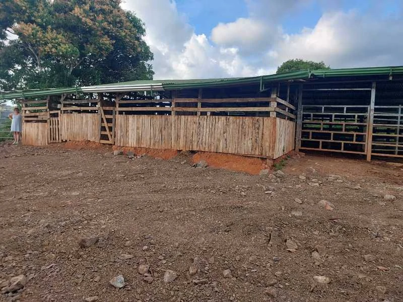 Livestock Farm | Titled property located in Santa Eduviges - Gallery image 27