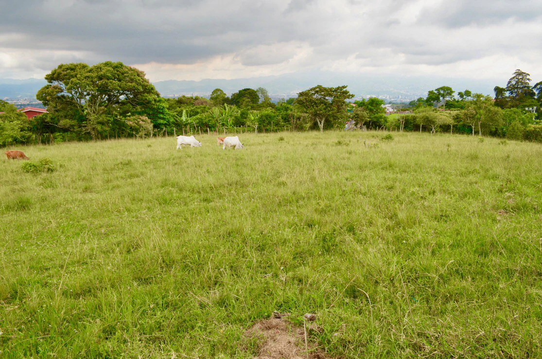 Lote con hermosas vista al valle central Costa Rica: Land for sale in Heredia San Isidro Heredial. - Gallery image 10