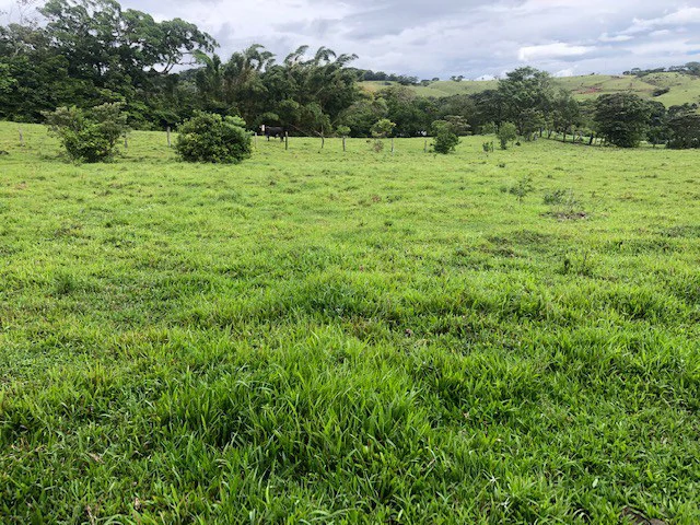 Warm Spring Mountain Property in a tropical landscape and antique wooden house,  50 minutes from Liberia city - Gallery image 15