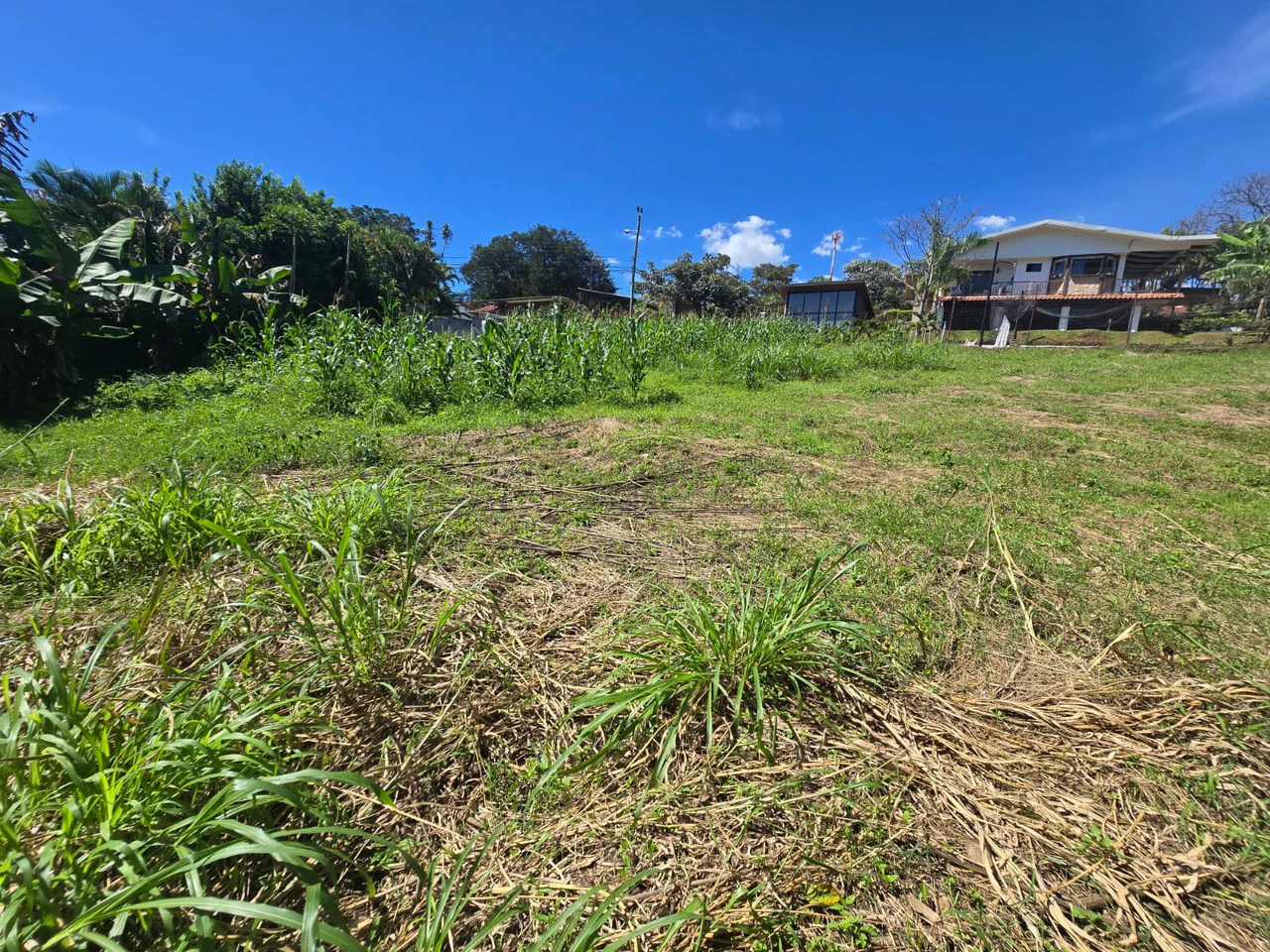 Land for sale in Tambor, Alajuela - Gallery image 3