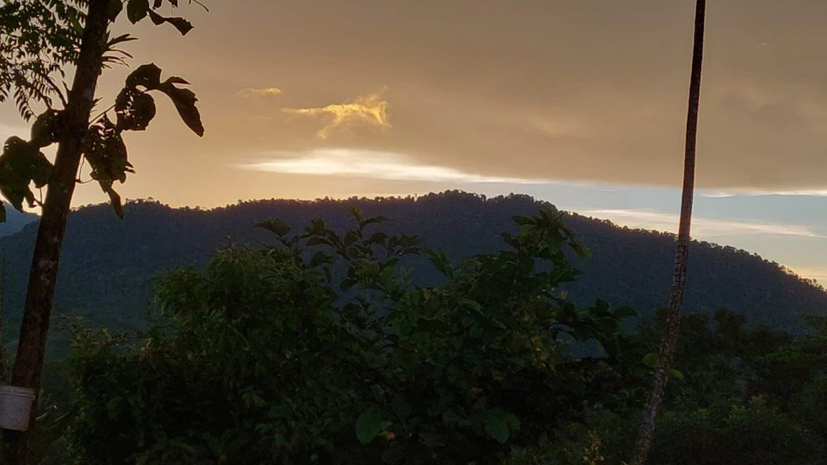 SECLUDED PARADISE WITH STUNNING VIEWS, WATERFALLS & ABUNDANT WILDLIFE - Gallery image 11
