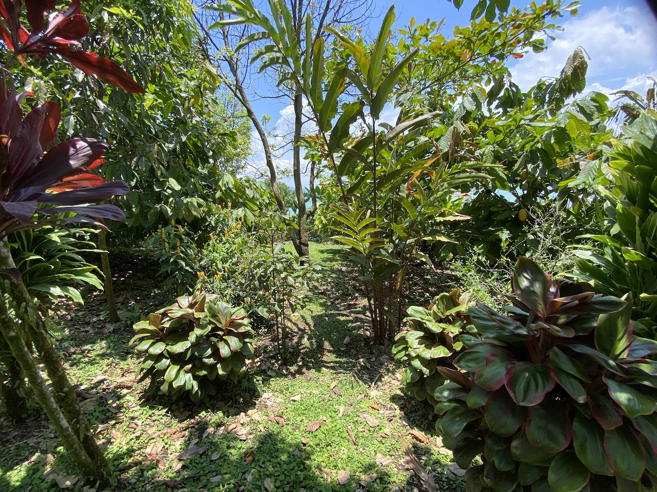 Beautiful Property with 4 cabins in El Castillo with gorgeous Lake View..!! - photo 6