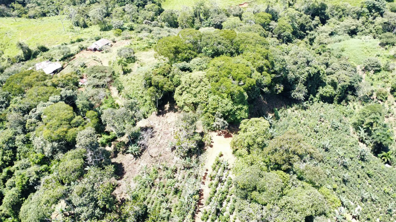 Propiedad en San Rafael de Platanares, Costa Rica: Mountain Home Construction Site For Sale in San Rafael - Gallery image 9