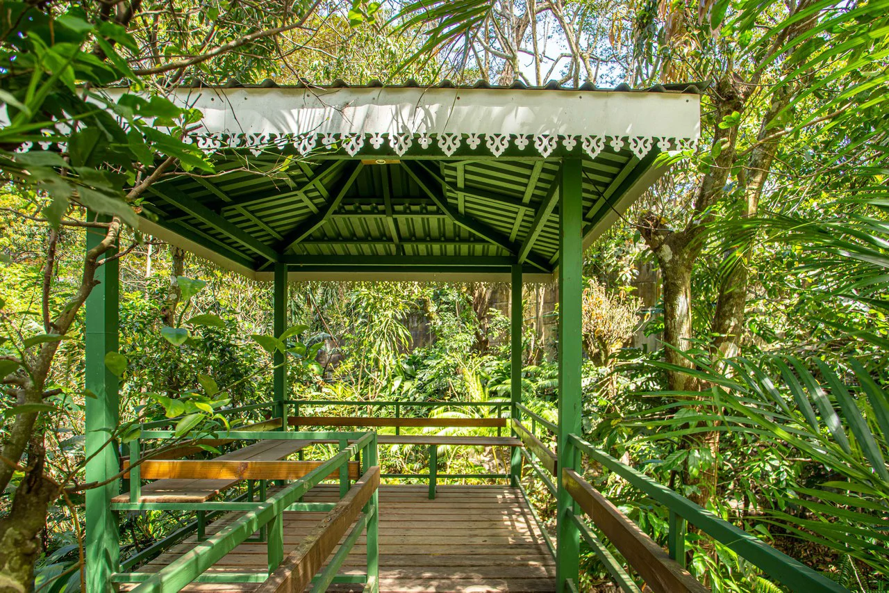 LUXURY PROPERTY HOUSE AND 5 APARTMENT SANTA ANA: Incredible property to live or invest. Ideal for single space. . This beautiful property measures 4857 m2 of lot with a street front of 23m2 and 432 m2 - Gallery image 43