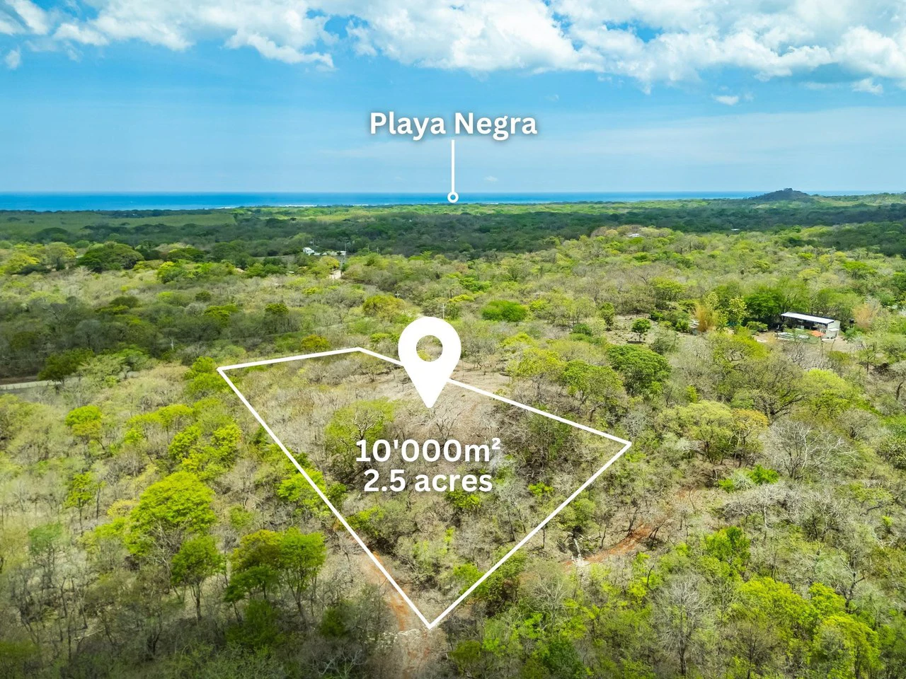 Pura Jungla Lots: Expansive Lots with Water Availability in Los Pargos - Gallery image 11