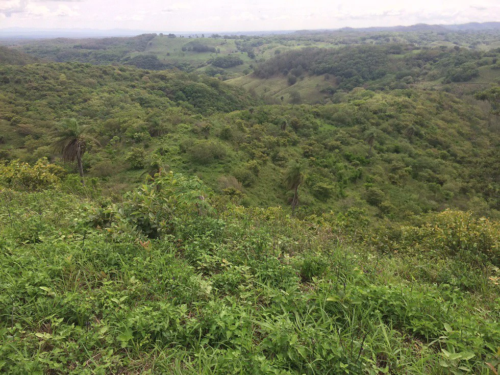 Mountain Property for Sale with charming 360º views of Guayabos Valley and the Volcanoes - Gallery image 25