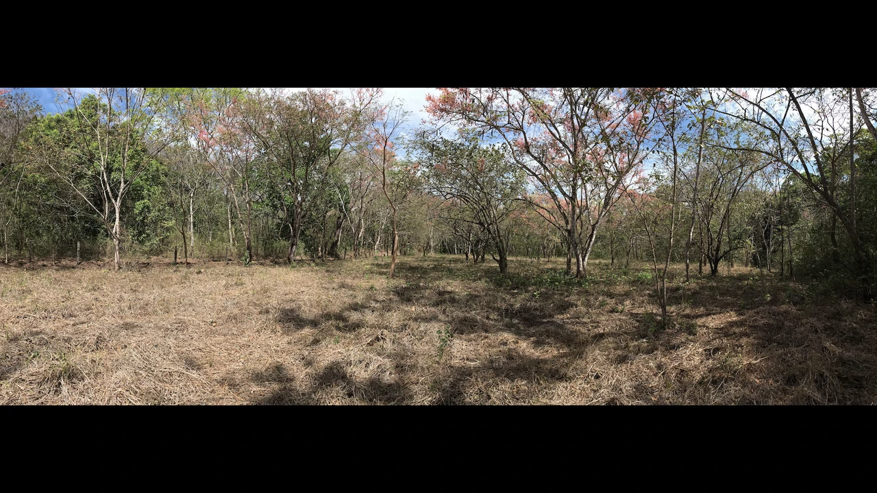 Finca Nora - Your Exclusive Tropical Paradise near Barrigona and Samara beach: Mountain Home Construction Site For Sale in Playa Samara - Gallery image 3