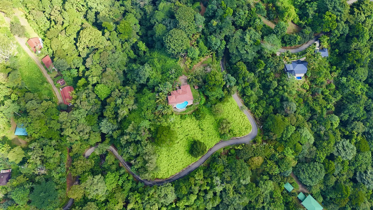 Selva Vista Estate: 5.9 Acres of Wild Beauty - Gallery image 7