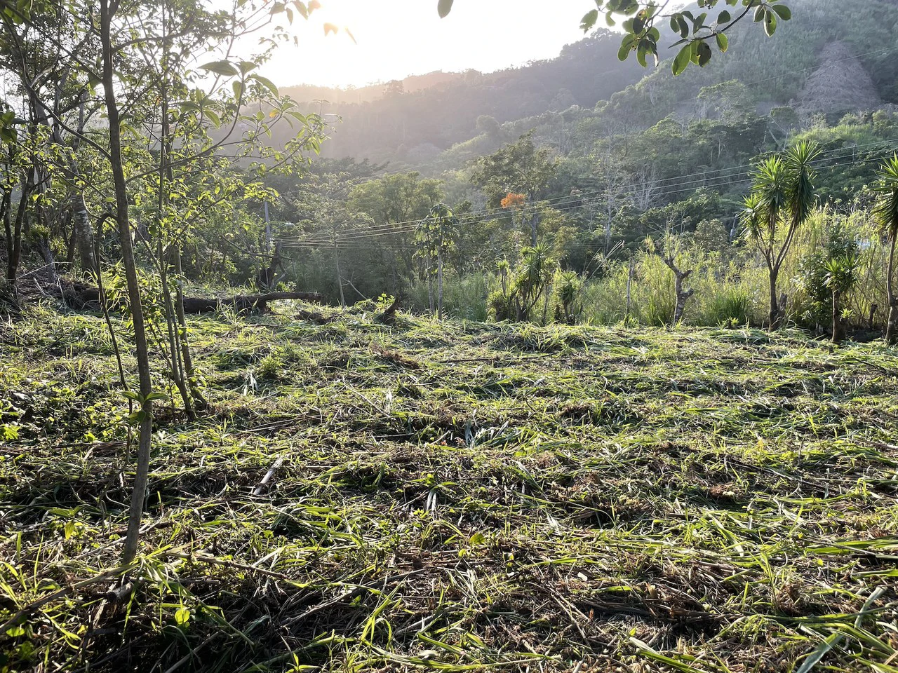 Eco-Lot #1: Ready-to-Build Sustainable Haven with Gulf & Mountain Views - photo 5