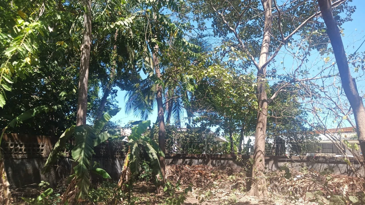 Prime Lot, very close to the beach for sale in the center of Playas del Coco - Gallery image 5