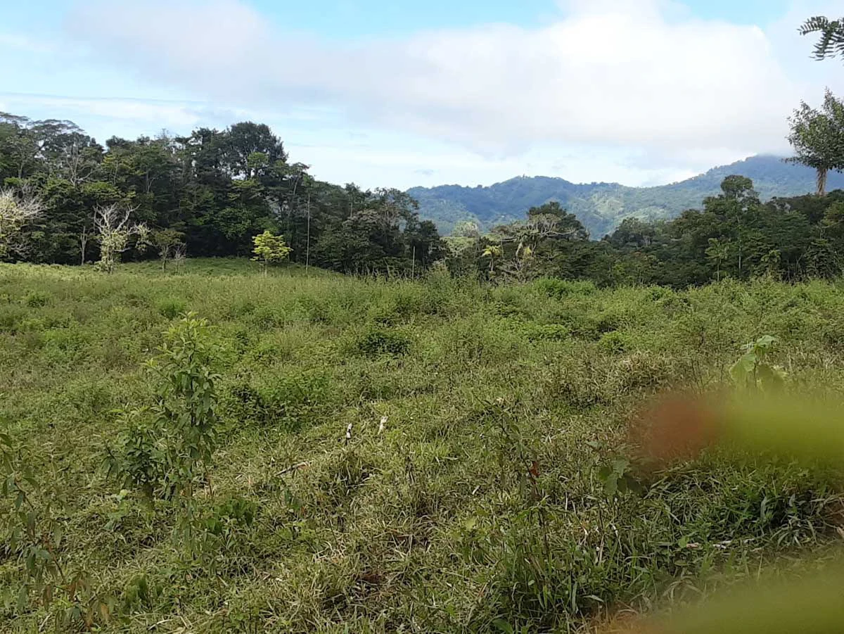Finca Tesoro Escondido - The Jewel of Uvita - Gallery image 57