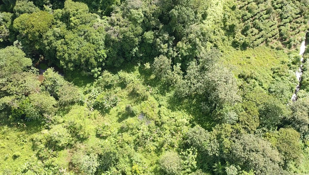 60 Acre Fully Sustainable and Impactful Conservation Initiative Near Golfito: Mountain Multi Unit Building For Sale in Golfito - Gallery image 12