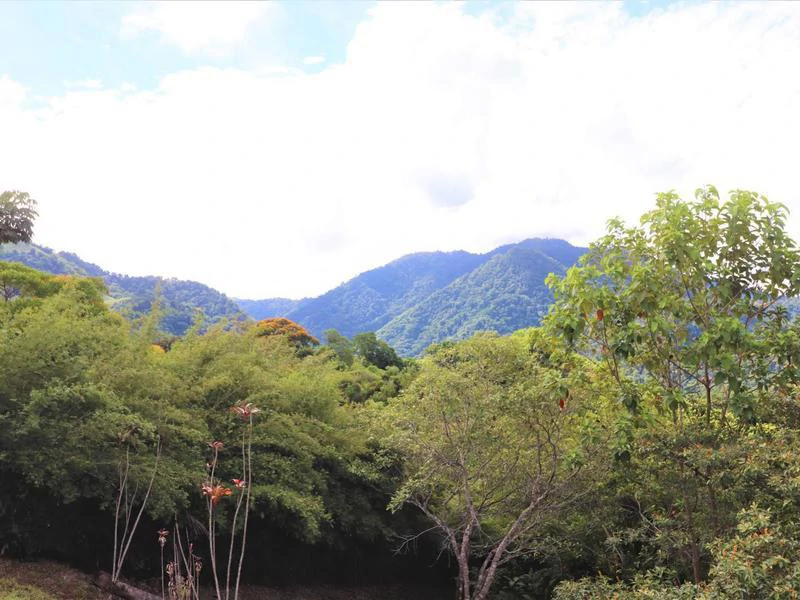 Captivating 3.15-Acre Property: Huge Pricedrop! Firesale Oceanview Lot in Tres Rios - Gallery image 48