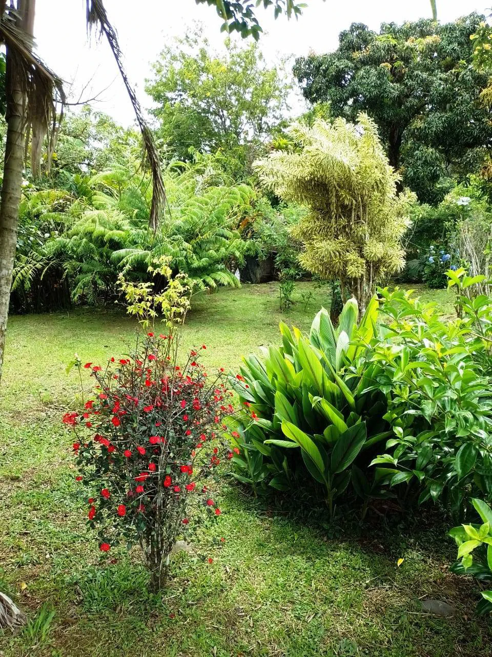CHALET DEL LAGO - Beautiful A-Frame home in tropical garden - Gallery image 33
