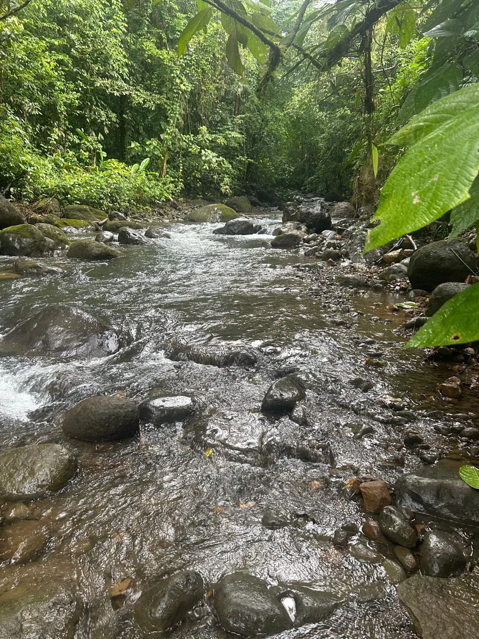 Incredible Building Lot: Riverfront Home Construction Site For Sale in Peñas Blancas - Gallery image 8