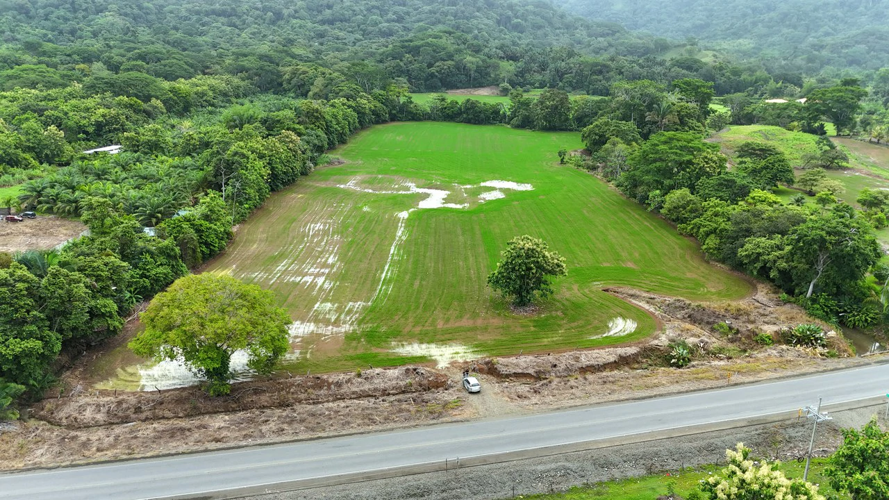 Near the Coast Agricultural Land For Sale in Matapalo - Gallery image 8