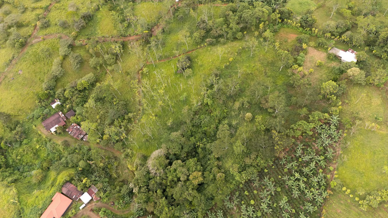 Se vende 6acres en San Antonio de Rivas, Pérez Zeledón: Countryside Home Construction Site For Sale in San Isidro del General - Gallery image 12