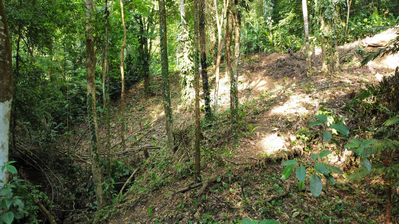 Unique property with creek and waterfall in lush jungle: Mountain Home Construction Site For Sale in Damas - Gallery image 5