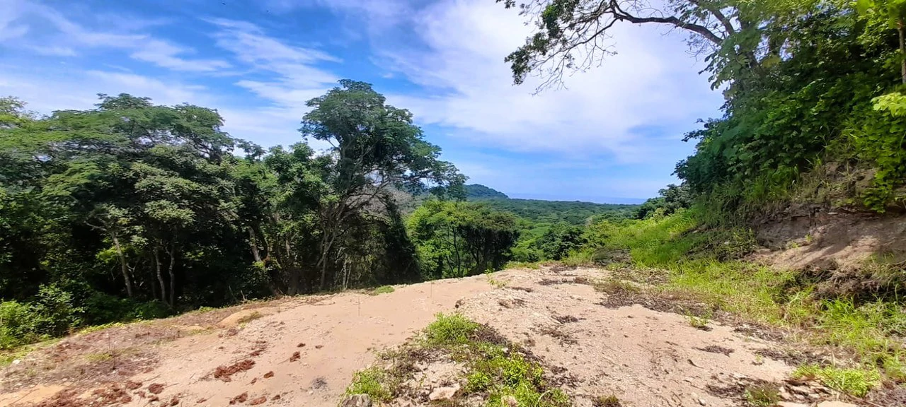 Buena Vista Ocean View Lot: Countryside and Mountain Home Construction Site For Sale in Buena Vista - Gallery image 2